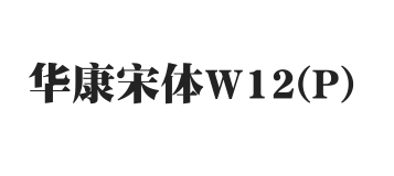 华康宋体W12(P)